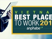 Microsoft năm thứ 4 liên tiếp dẫn đầu nơi làm việc lý tưởng của ngành CNTT Việt Nam