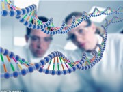 Đột biến gene ung thư là do lỗi copy DNA