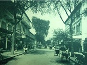 Sài Gòn - Chợ Lớn năm 1900 qua ống kính của nhiếp ảnh gia Dieulefils