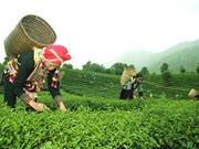 Cần thống nhất hướng dẫn quản lý nhiệm vụ KH&CN cấp tỉnh