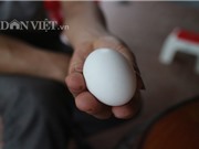 Nuôi con tiền tỷ: Giàu nhanh như "thổi" từ giống gà Ai Cập mắn đẻ
