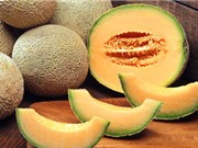Tiền Giang trồng dưa lưới mang lại hiệu quả cao