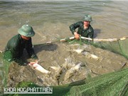 Điện Biên cần được hỗ trợ nâng chất lượng nguồn nhân lực