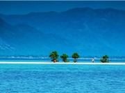 Những con đường xuyên biển tuyệt đẹp ở Việt Nam