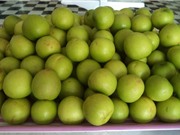 Những tác dụng tốt đến khó tin của táo ta