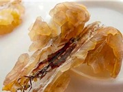Tuyết giáp: Thần dược ếch nhái 100 triệu/kg nấu chè giải nhiệt