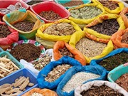 Trồng dược thảo - chiến lược kiếm tiền mới của nhiều quốc gia