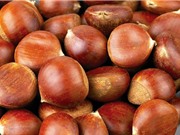 Cách nhận biết hạt dẻ Trùng Khánh chính hiệu