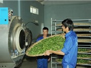 Dụng cụ chế biến chè Tân Cương
