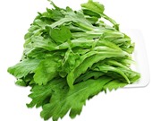 Chữa ho, giải cảm từ cải cúc