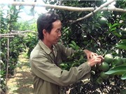 Thu tiền tỷ trên “vùng đất chết”