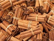 Bảo hộ chỉ dẫn địa lý Thường Xuân cho sản phẩm quế 