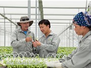 Có thể sản xuất thực phẩm hữu cơ giá rẻ