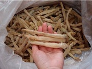 Ảnh hưởng của yếu tố con người tới chất lượng sá sùng Vân Đồn