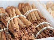 Bảo hộ chỉ dẫn địa lý Trà My cho sản phẩm quế