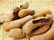 9 lợi ích không ngờ của quả me đối với sức khỏe