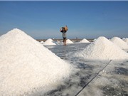 Đặc tính của sản phẩm muối Bạc Liêu