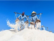 Những đặc điểm địa hình, thổ nhưỡng ảnh hưởng tới chất lượng muối Bạc Liêu