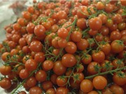 Mẹo đơn giản giúp bảo quản nông sản tươi ngon cả tuần