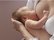Thú vị: Sự tiến hóa của bộ ngực con người