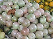 Gầy dựng lại vùng vú sữa lò rèn là bài toán khó