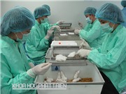 Một số nhiệm vụ thuộc chương trình Phát triển sản phẩm quốc gia đến năm 2020