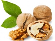 5 tác dụng kỳ diệu của quả óc chó