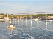 Quảng Ninh sắp có khu sản xuất tôm giống 500 tỷ đồng