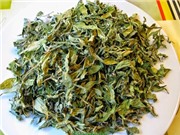 Quảng Trị đưa KH&CN vào phát triển chè vằng