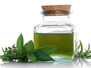 10 công dụng bất ngờ của tinh dầu trà xanh