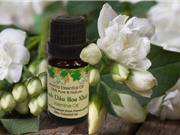 9 loại tinh dầu giúp bạn có giấc ngủ ngon