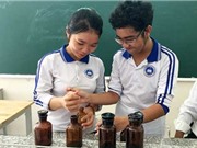 Học sinh chế thuốc đuổi muỗi từ lá cây