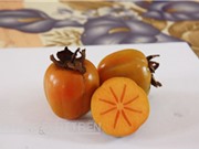 Ảnh hưởng của yếu tố con người tới chất lượng hồng không hạt Bảo Lâm