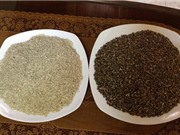 Đắk Lắk trồng lúa thảo dược có nhiều ưu điểm