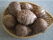 Kỹ thuật trồng và chăm sóc khoai sọ trong thùng xốp