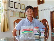Làm giàu nhờ “ếch sạch sấy khô”