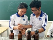 Học sinh chế thuốc đuổi muỗi từ lá cây