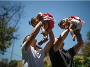Có gene quy định đồng tính?