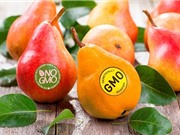 Sự thực về thực phẩm biến đổi gen