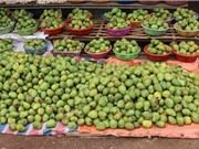 “Của hiếm” xoài trứng Yên Châu – lộc trời của riêng đất Tây Bắc