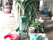 Máy chế biến thức ăn đa năng giúp nuôi lợn sạch