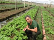 Mẹo biến phân dơi, lông gà thành phân bón cây trồng hiệu quả