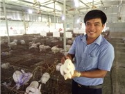 Bí quyết nuôi thỏ giữa lòng thành phố, vô hại với môi trường
