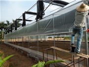 Một số doanh nghiệp cung cấp sản phẩm hỗ trợ sản xuất nông nghiệp công nghệ cao