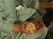 Mẹo giúp vật nuôi lớn nhanh, không dùng kháng sinh