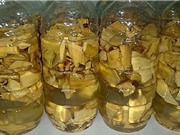 Bí quyết trị mụn với rượu cây mật gấu
