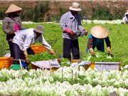 Khai thác và thương mại hóa sáng chế trong lĩnh vực công nghệ sau thu hoạch
