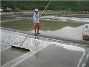 Muối Tuyết Diêm khó bán, giá thấp vì công nghệ sản xuất lạc hậu 