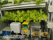 Một số mô hình sản xuất thông minh ở Việt Nam