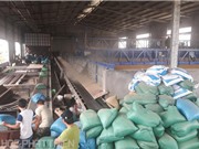 Nhiều khó khăn khi thương mại hóa sáng chế lĩnh vực công nghệ sau thu hoạch
